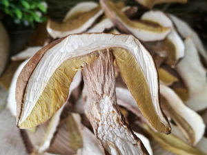 Dried Porcini Mushroom Slice (Boletus Edulis)